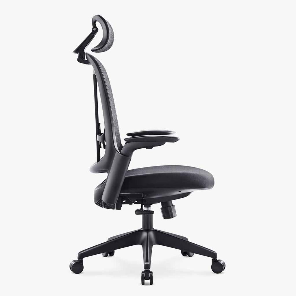 Boss Fabric Ergonomic Chair: Comfort, Support & Style - Sunaofe