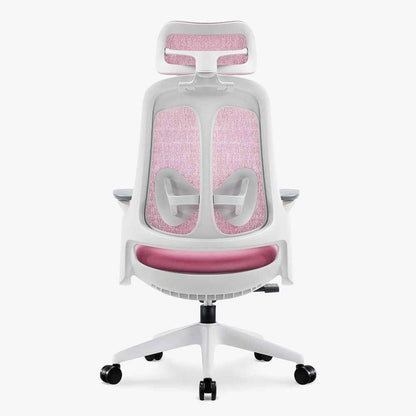 Boss Fabric Ergonomic Chair: Comfort, Support & Style - Sunaofe