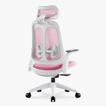 Boss Fabric Ergonomic Chair: Comfort, Support & Style - Sunaofe