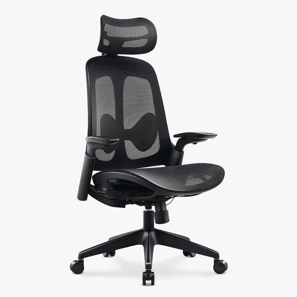 Boss Mesh Ergonomic Chair: Breathable Comfort & Support - Sunaofe