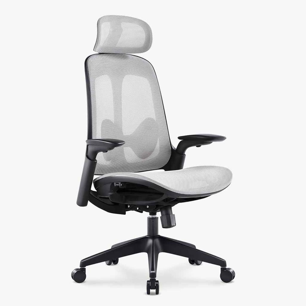 Boss Mesh Ergonomic Chair: Breathable Comfort & Support - Sunaofe