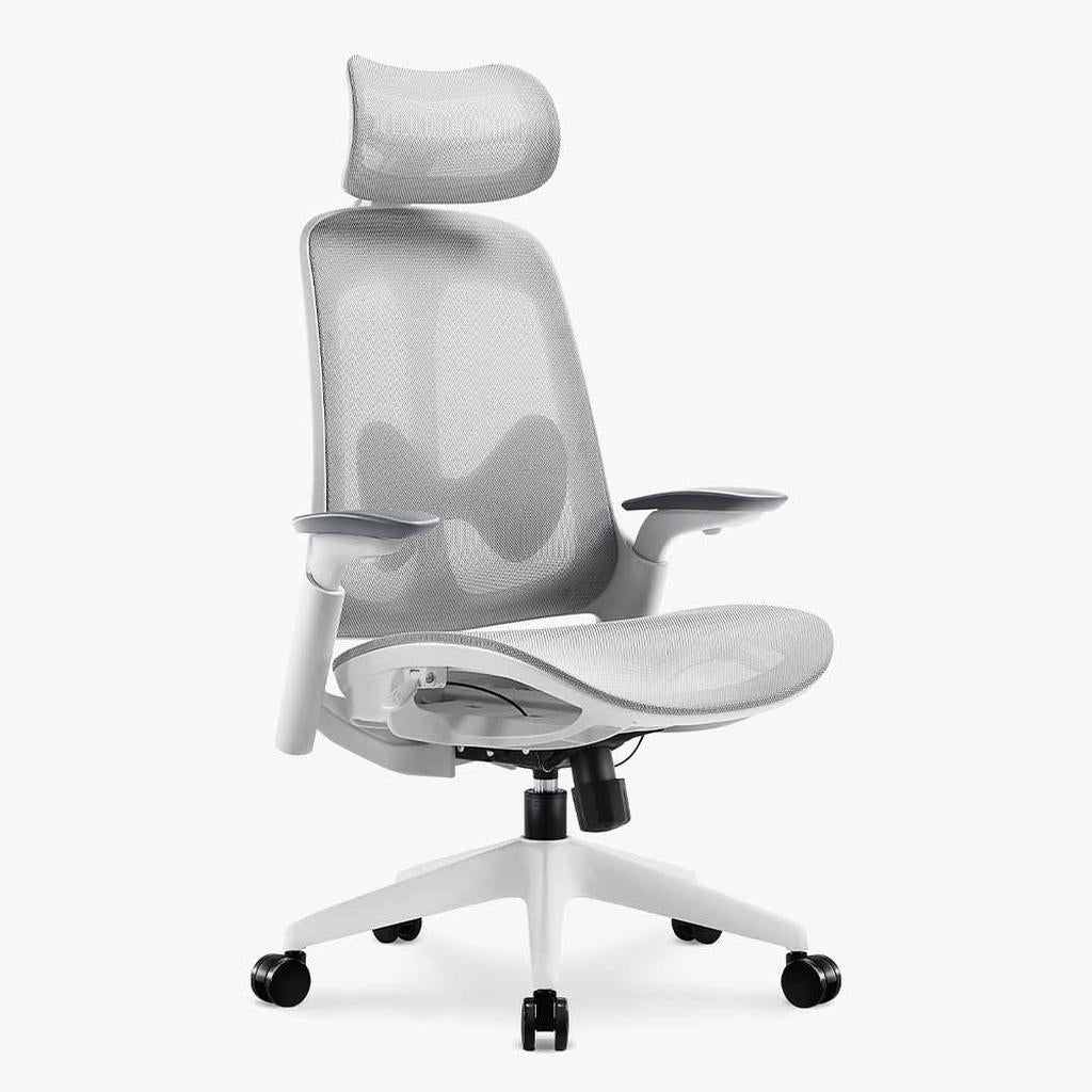 Boss Mesh Ergonomic Chair: Breathable Comfort & Support - Sunaofe
