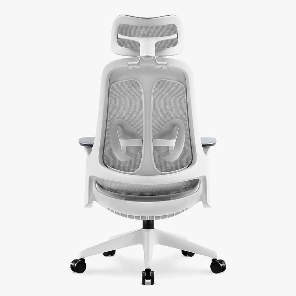 Boss Mesh Ergonomic Chair: Breathable Comfort & Support - Sunaofe
