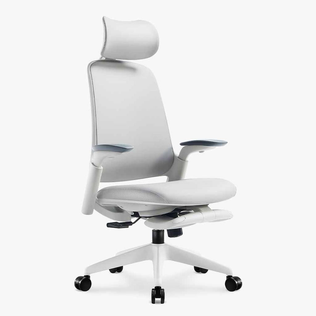 Boss Pro Leather Ergonomic Chair: Luxury, Comfort & Productivity - Sunaofe