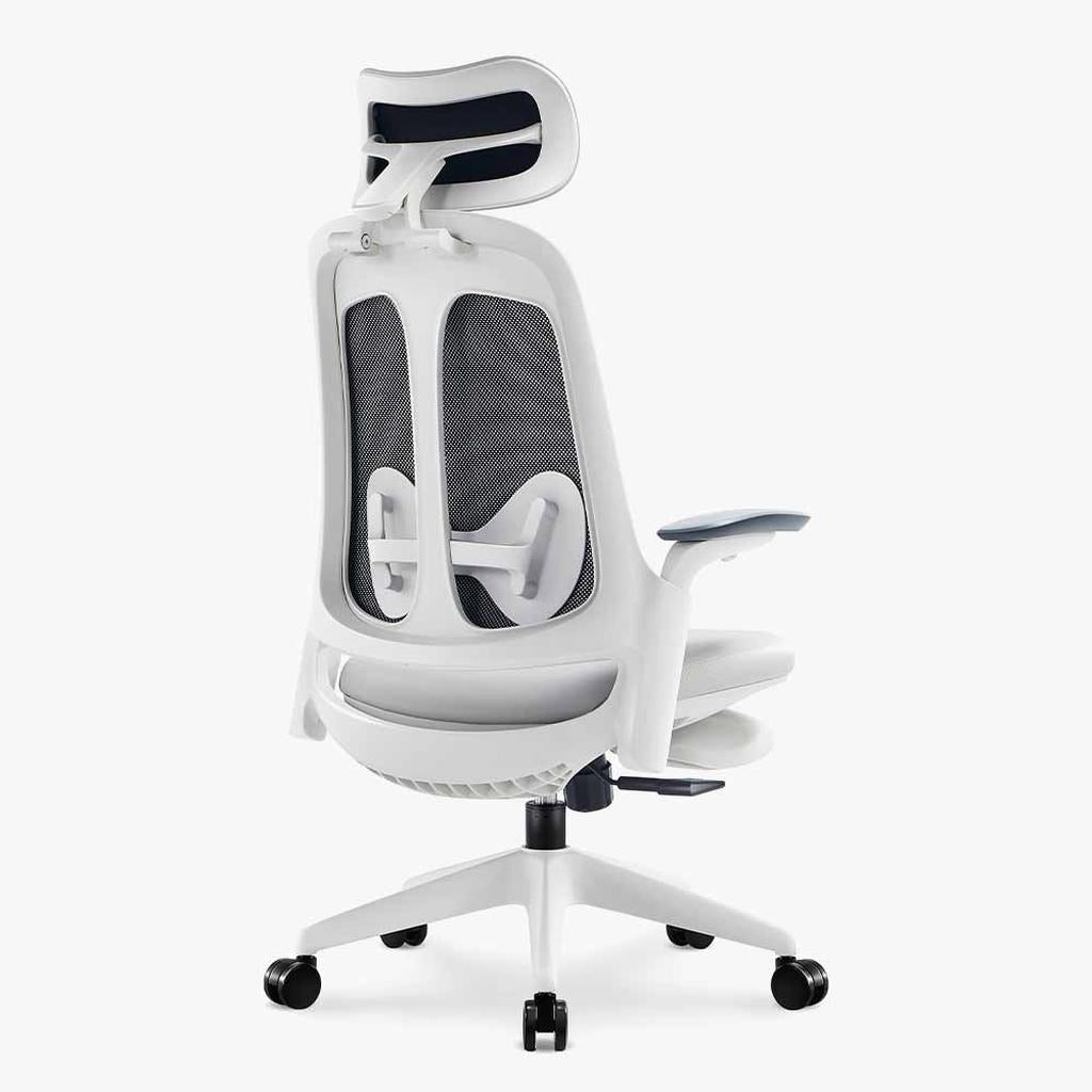 Boss Pro Leather Ergonomic Chair: Luxury, Comfort & Productivity - Sunaofe