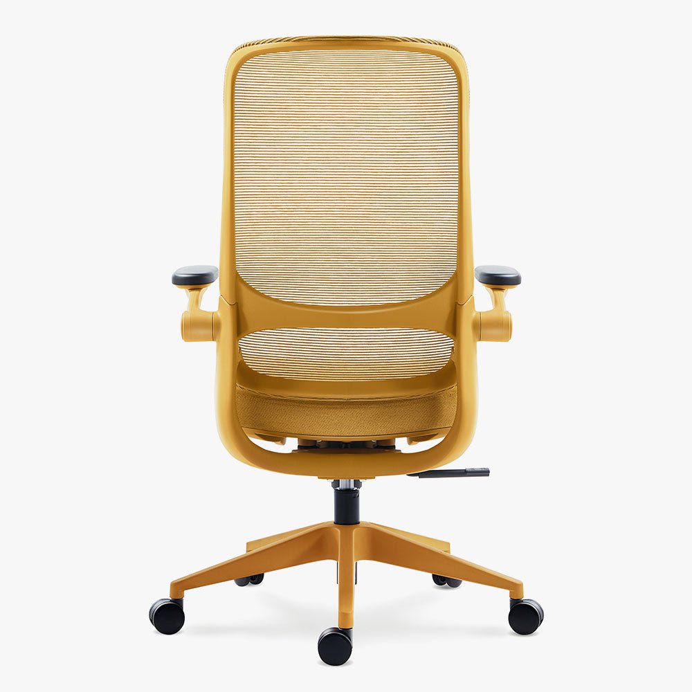 Ergonomic Office Chair in Various Colors on Sale - Sunaofe