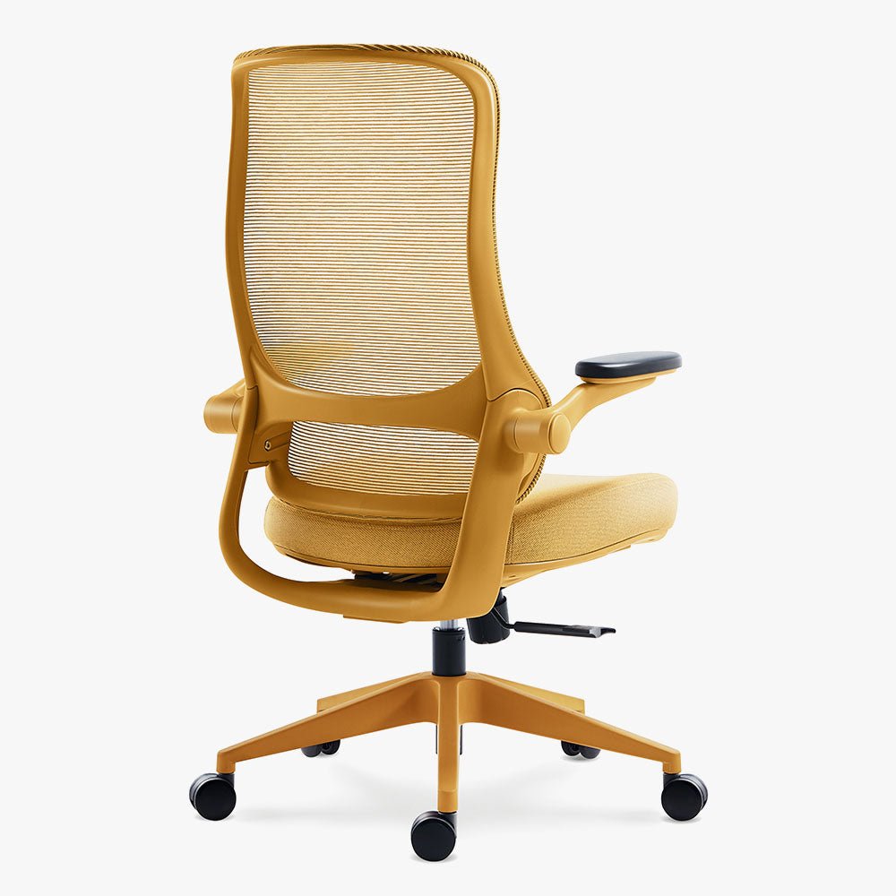 Ergonomic Office Chair in Various Colors on Sale - Sunaofe