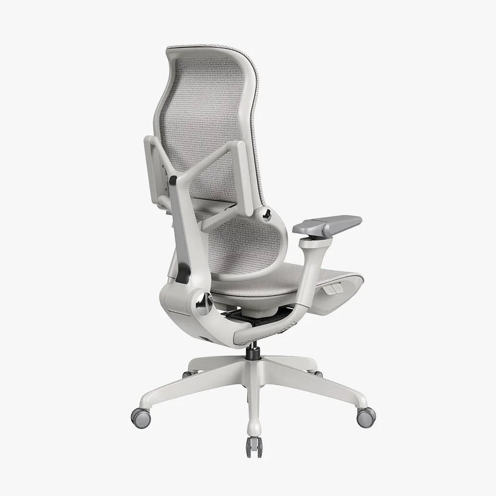 MORPH Classic丨Ergonomic Chair with The Most Advanced Lumbar Support丨Delivered with 4 weeks - Sunaofe