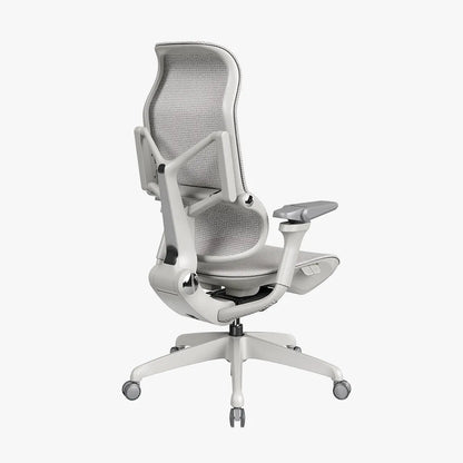 MORPH Classic丨Ergonomic Chair with The Most Advanced Lumbar Support丨Delivered with 4 weeks - Sunaofe