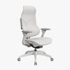 MORPH Classic Lumbar Auto-track Tech Ergonomic Chair