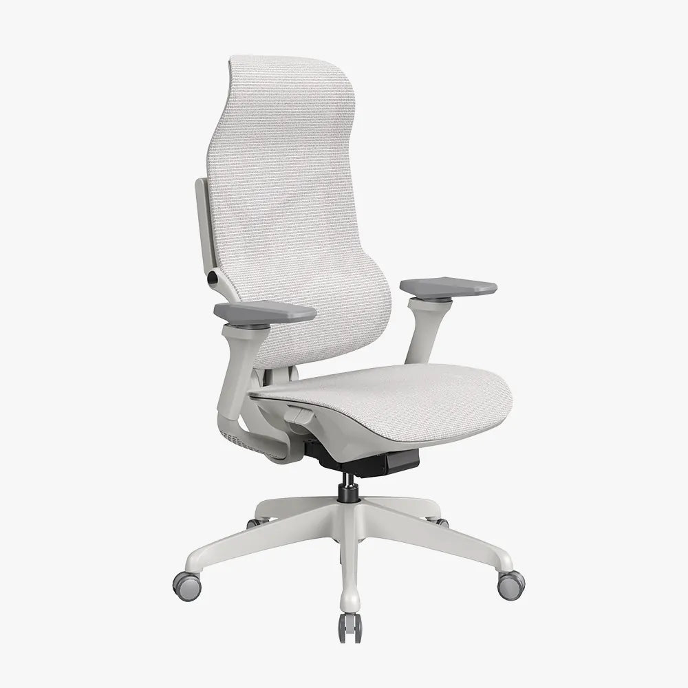 MORPH Classic丨Ergonomic Chair with The Most Advanced Lumbar Support丨Delivered with 4 weeks - Sunaofe