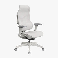 MORPH Classic丨Ergonomic Chair with The Most Advanced Lumbar Support丨Delivered with 4 weeks - Sunaofe