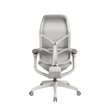 MORPH Classic丨Ergonomic Chair with The Most Advanced Lumbar Support丨Delivered with 4 weeks - Sunaofe
