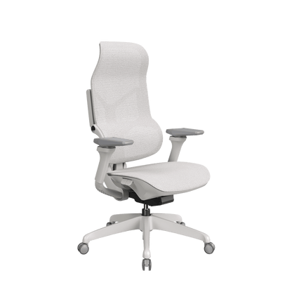 MORPH Classic丨Ergonomic Chair with The Most Advanced Lumbar Support丨Delivered with 4 weeks - Sunaofe