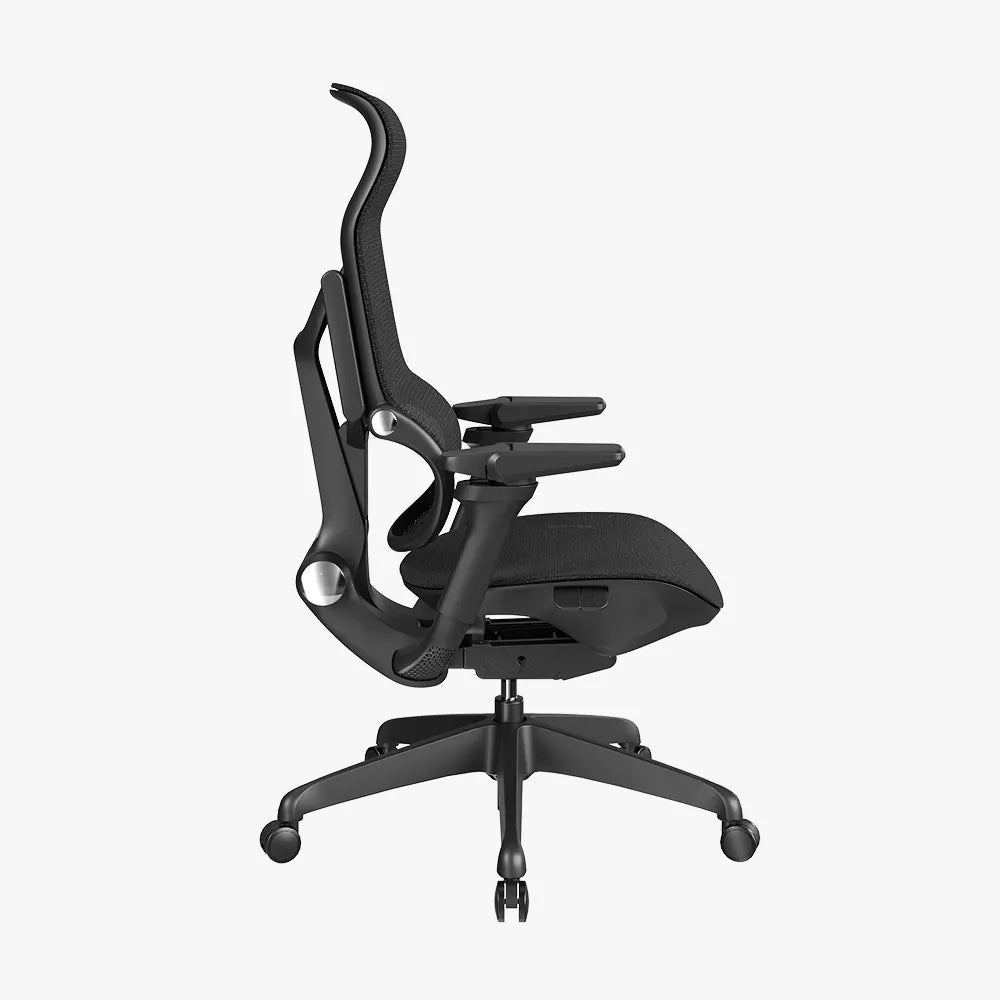 MORPH Classic丨Ergonomic Chair with The Most Advanced Lumbar Support丨Delivered with 4 weeks - Sunaofe