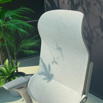 MORPH Classic丨Ergonomic Chair with The Most Advanced Lumbar Support丨Delivered with 8 weeks - Sunaofe