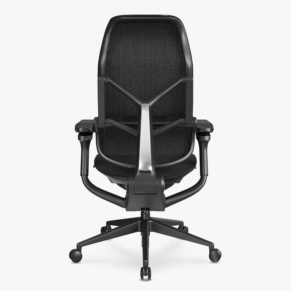 MORPH Classic丨Ergonomic Chair with The Most Advanced Lumbar Support丨Delivered with 8 weeks - Sunaofe