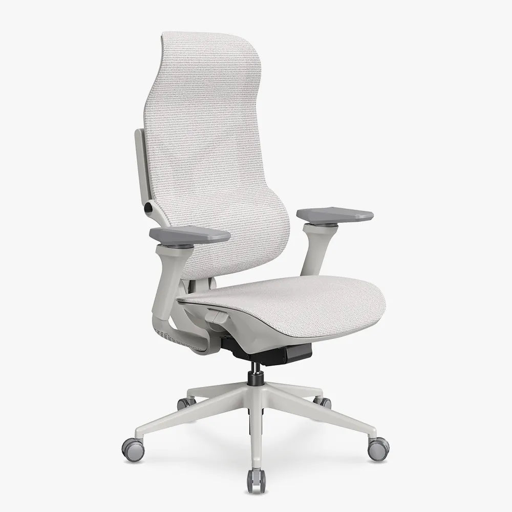 MORPH Classic丨Ergonomic Chair with The Most Advanced Lumbar Support丨Delivered with 8 weeks - Sunaofe