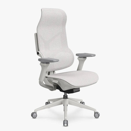 MORPH Classic丨Ergonomic Chair with The Most Advanced Lumbar Support丨Delivered with 8 weeks - Sunaofe