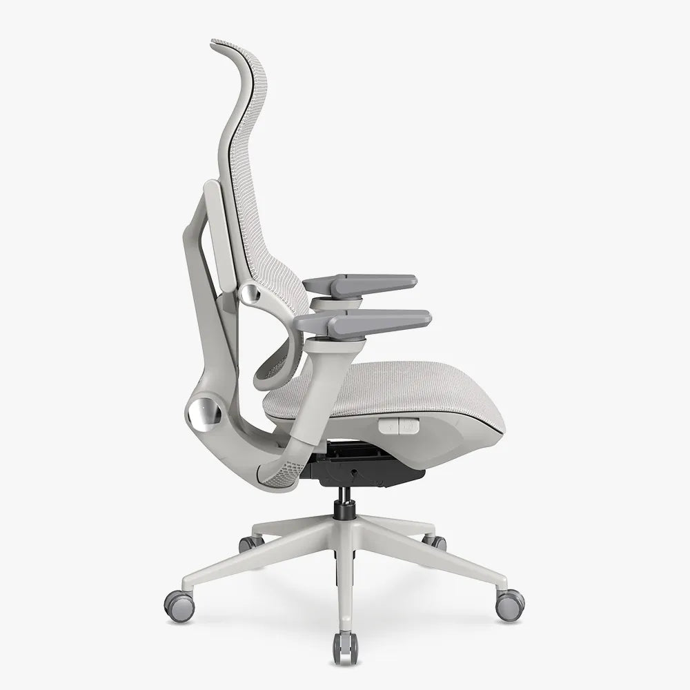MORPH Classic丨Ergonomic Chair with The Most Advanced Lumbar Support丨Delivered with 8 weeks - Sunaofe