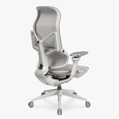 MORPH Classic丨Ergonomic Chair with The Most Advanced Lumbar Support丨Delivered with 8 weeks - Sunaofe