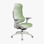 MORPH Edition Lumbar Auto-track Tech Ergonomic Chair