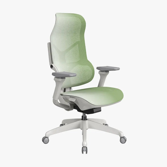 MORPH Edition丨Advanced Lumbar Support Ergonomic Chair with Sustainable Mesh丨Delivered in 4 weeks - Sunaofe