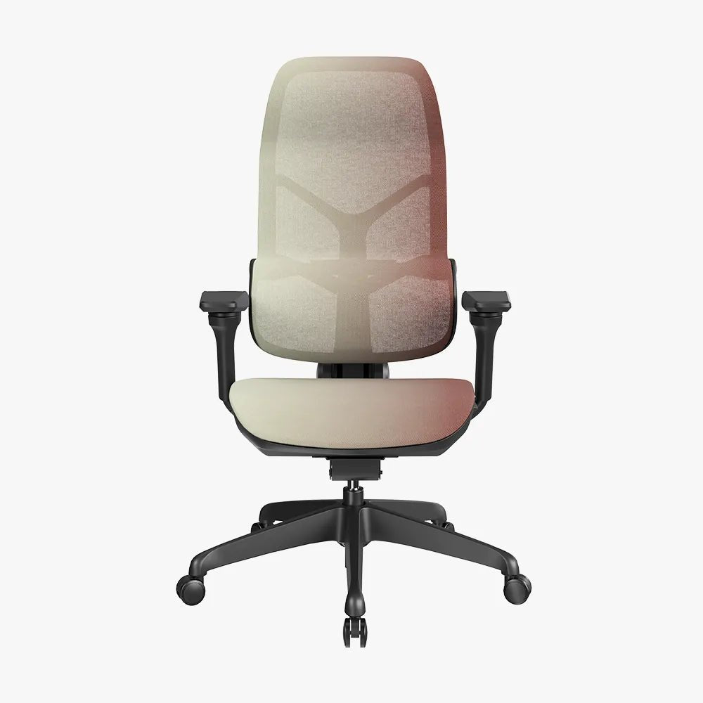 MORPH Edition丨Advanced Lumbar Support Ergonomic Chair with Sustainable Mesh丨Delivered in 4 weeks - Sunaofe