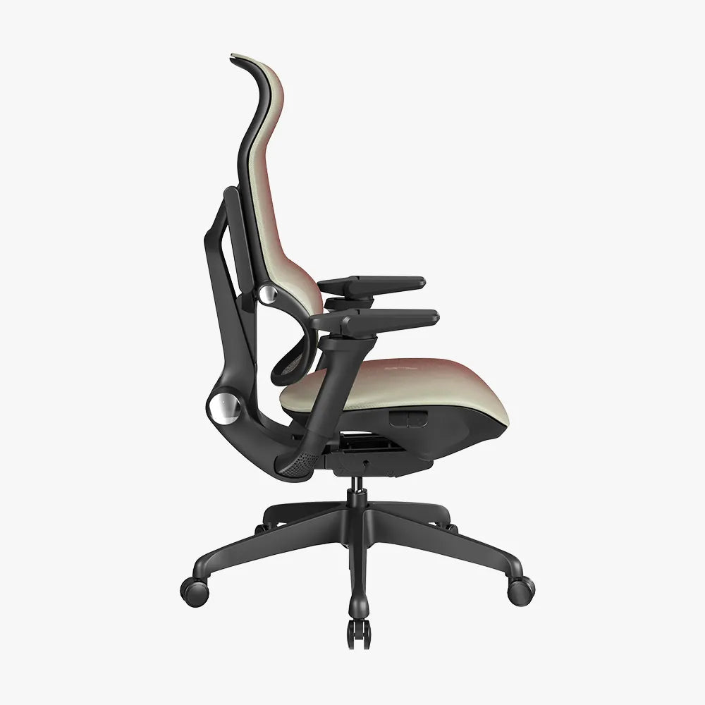 MORPH Edition丨Advanced Lumbar Support Ergonomic Chair with Sustainable Mesh丨Delivered in 4 weeks - Sunaofe