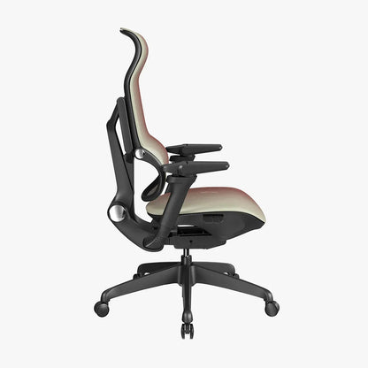 MORPH Edition丨Advanced Lumbar Support Ergonomic Chair with Sustainable Mesh丨Delivered in 4 weeks - Sunaofe