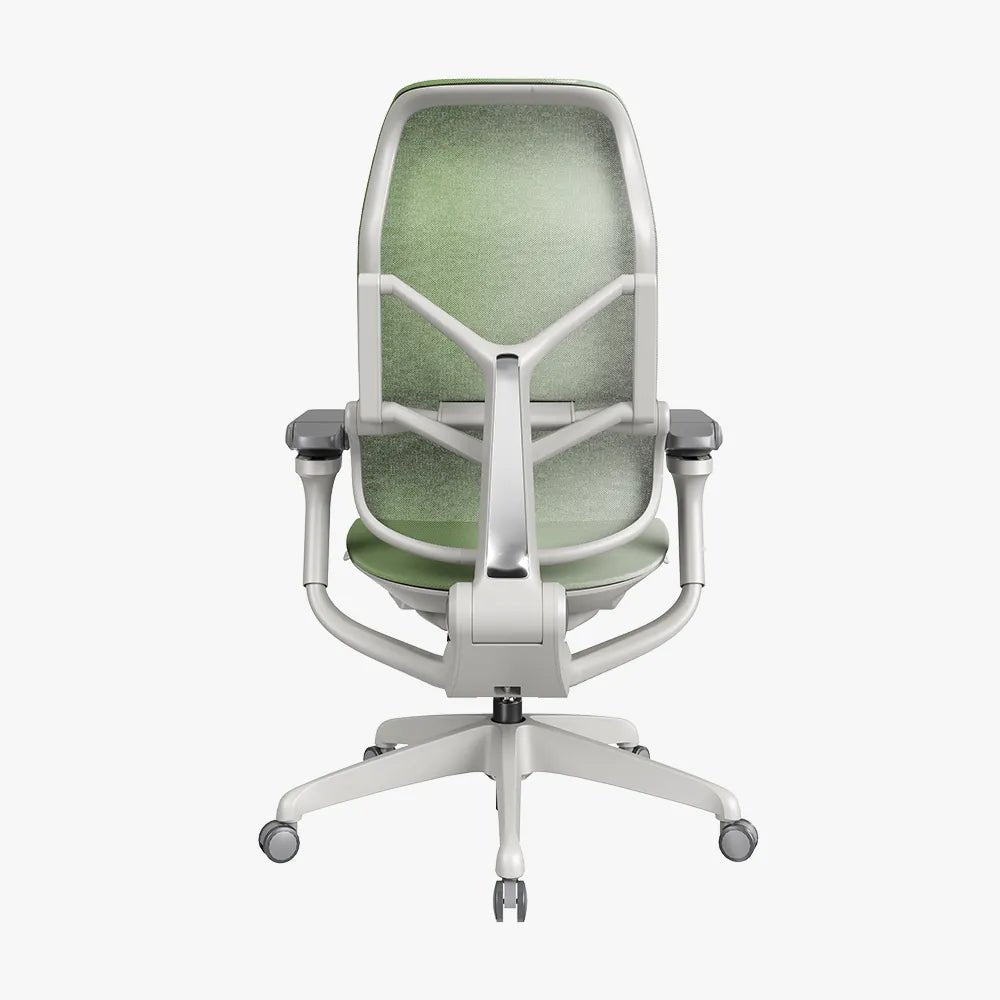 MORPH Edition丨Advanced Lumbar Support Ergonomic Chair with Sustainable Mesh丨Delivered in 4 weeks - Sunaofe