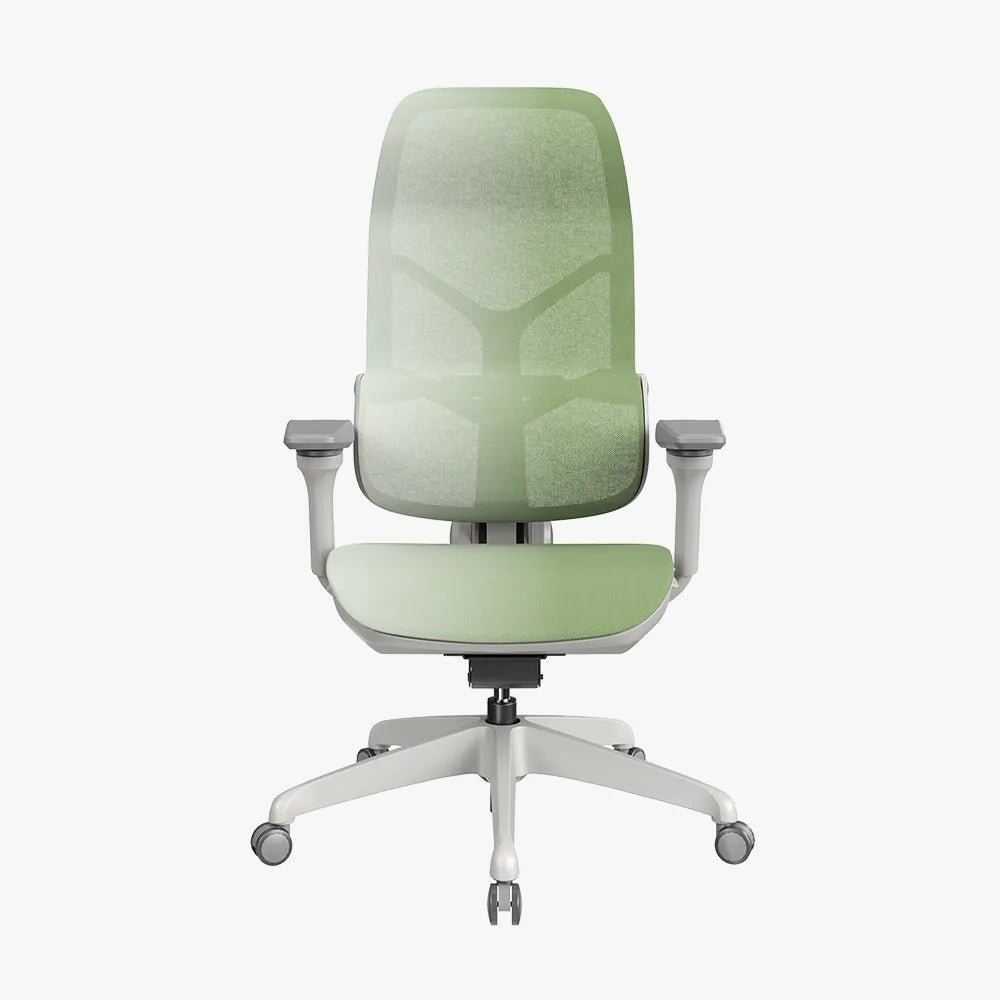 MORPH Edition丨Advanced Lumbar Support Ergonomic Chair with Sustainable Mesh丨Delivered in 4 weeks - Sunaofe