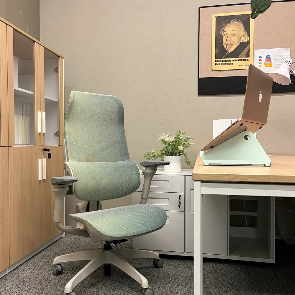 MORPH Edition丨Advanced Lumbar Support Ergonomic Chair with Sustainable Mesh丨Delivered in 8 weeks - Sunaofe