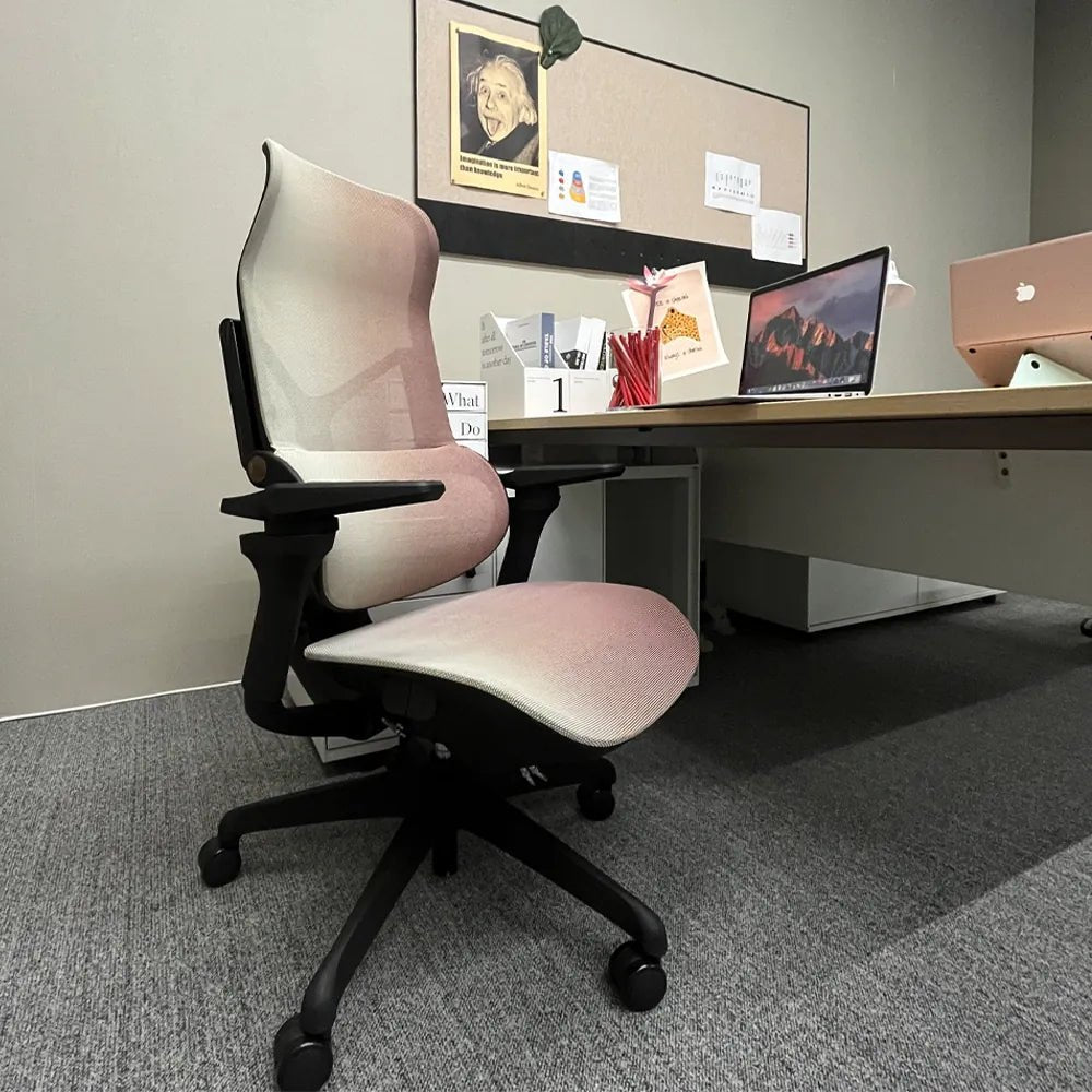 MORPH Edition丨Advanced Lumbar Support Ergonomic Chair with Sustainable Mesh丨Delivered in 8 weeks - Sunaofe