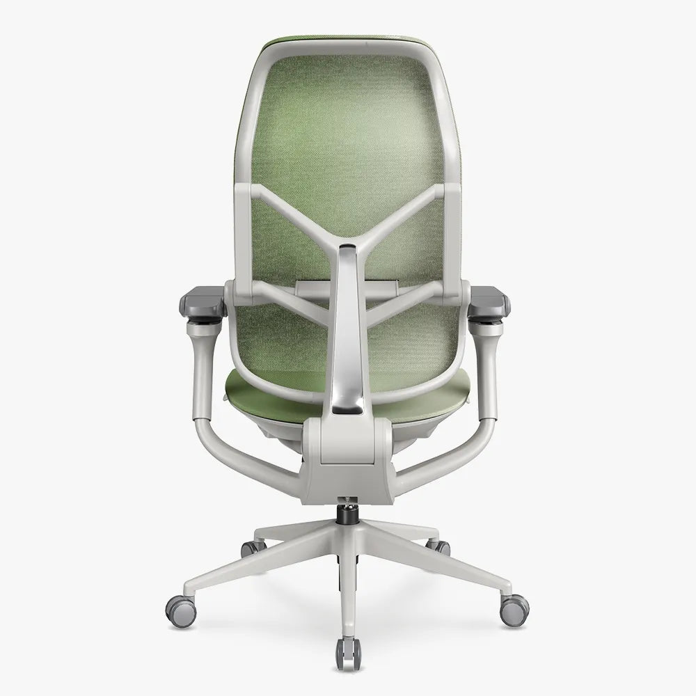 MORPH Edition丨Advanced Lumbar Support Ergonomic Chair with Sustainable Mesh丨Delivered in 8 weeks - Sunaofe