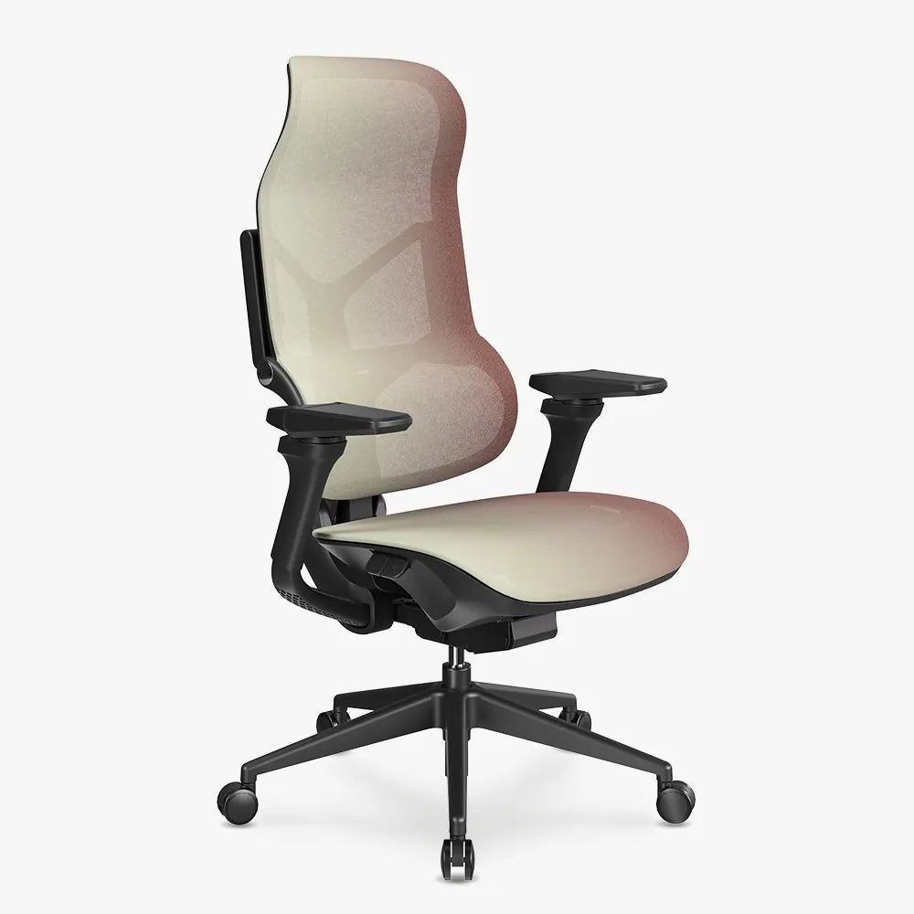 MORPH Edition丨Advanced Lumbar Support Ergonomic Chair with Sustainable Mesh丨Delivered in 8 weeks - Sunaofe