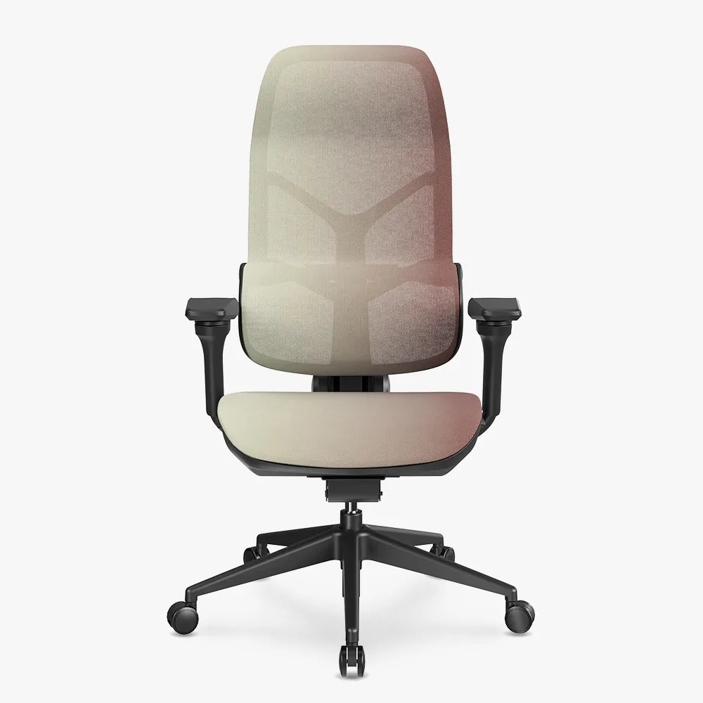 MORPH Edition丨Advanced Lumbar Support Ergonomic Chair with Sustainable Mesh丨Delivered in 8 weeks - Sunaofe