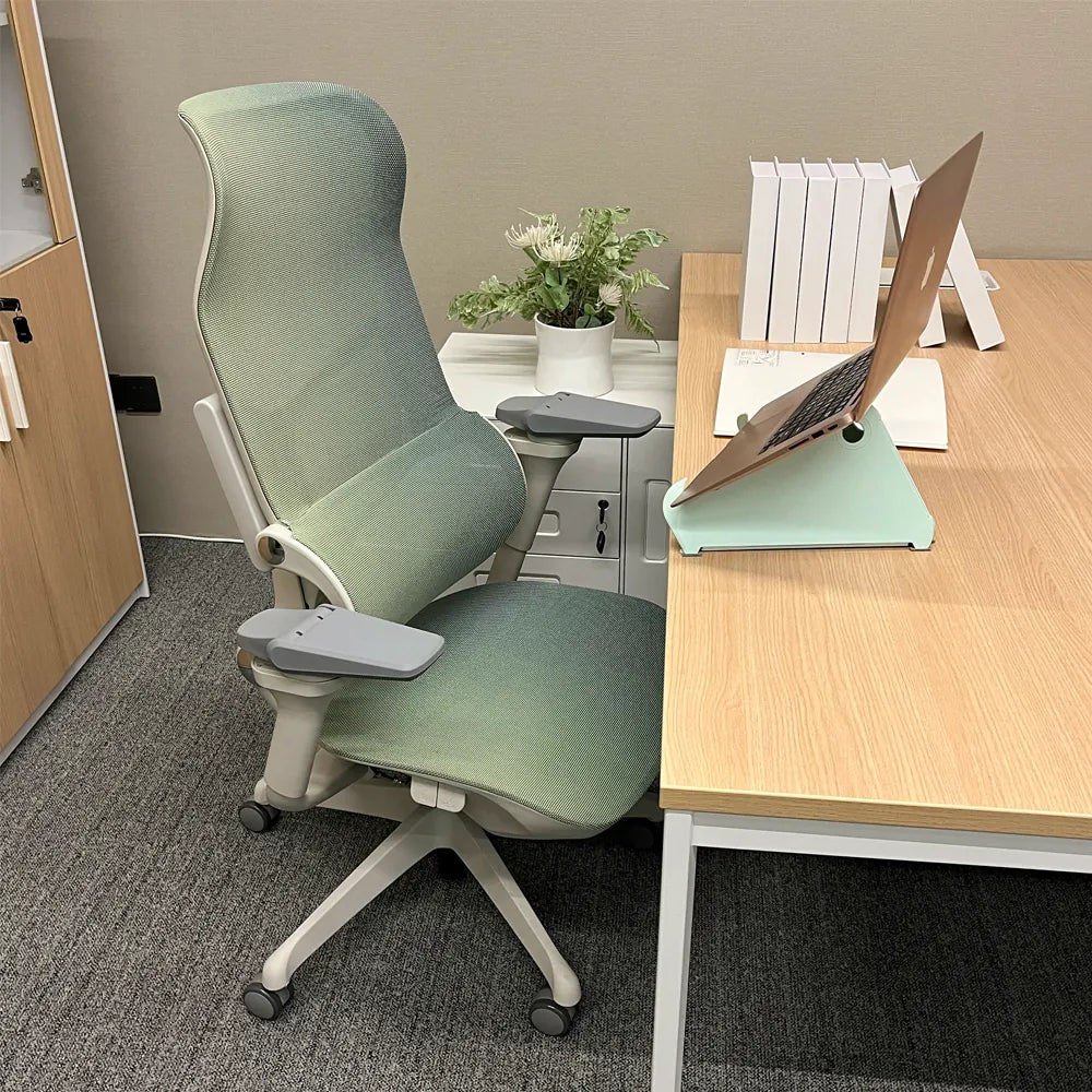 MORPH Edition丨Advanced Lumbar Support Ergonomic Chair with Sustainable Mesh丨Delivered in 8 weeks - Sunaofe