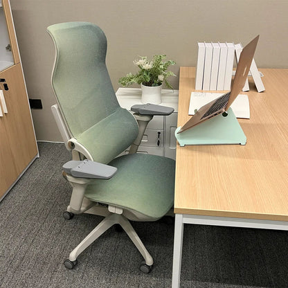 MORPH Edition丨Advanced Lumbar Support Ergonomic Chair with Sustainable Mesh丨Delivered in 8 weeks - Sunaofe