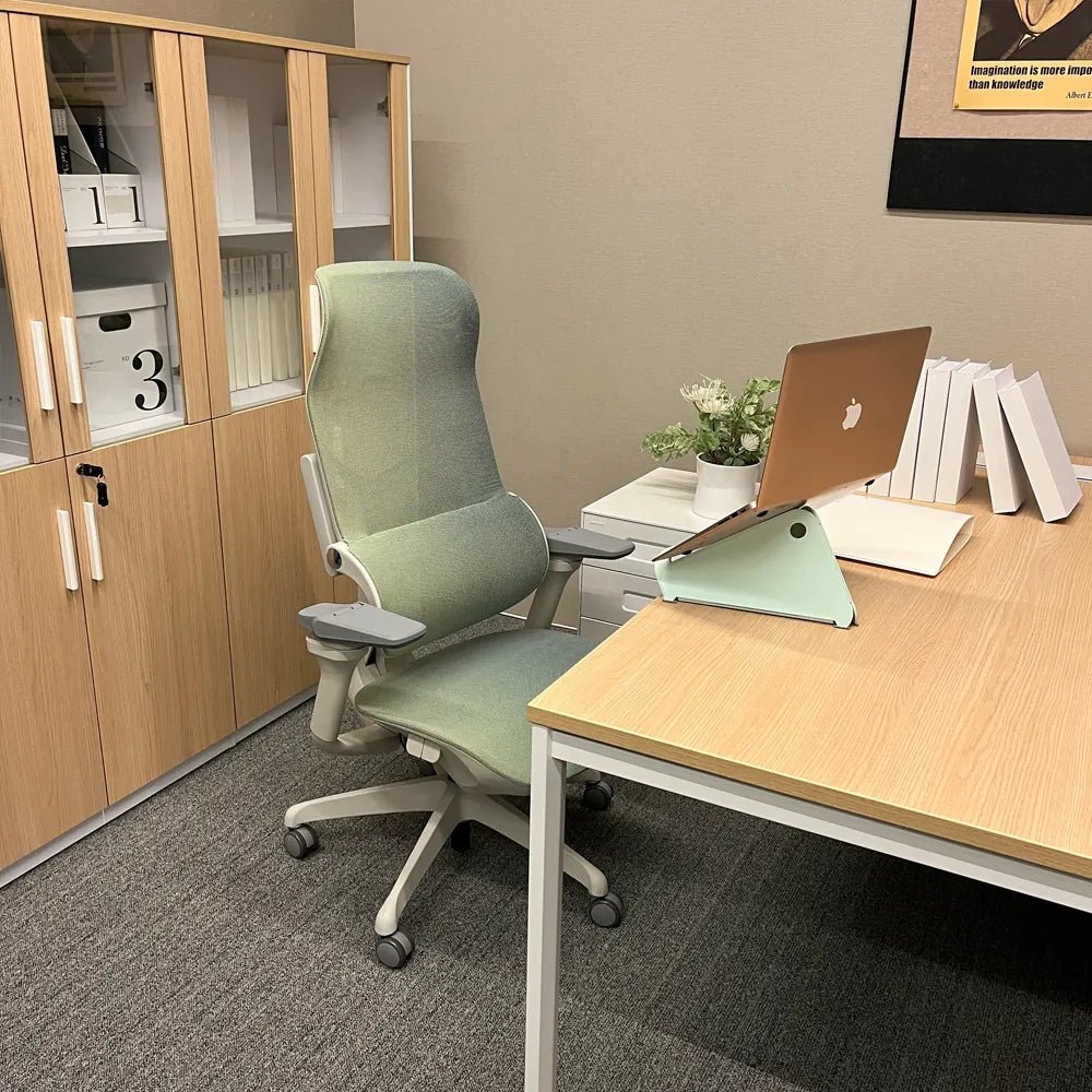 MORPH Edition丨Advanced Lumbar Support Ergonomic Chair with Sustainable Mesh丨Delivered in 8 weeks - Sunaofe
