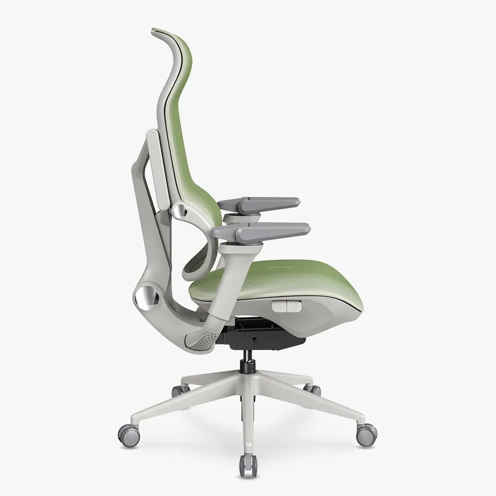 MORPH Edition丨Advanced Lumbar Support Ergonomic Chair with Sustainable Mesh丨Delivered in 8 weeks - Sunaofe