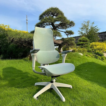 MORPH Edition丨Advanced Lumbar Support Ergonomic Chair with Sustainable Mesh丨Delivered in 8 weeks - Sunaofe