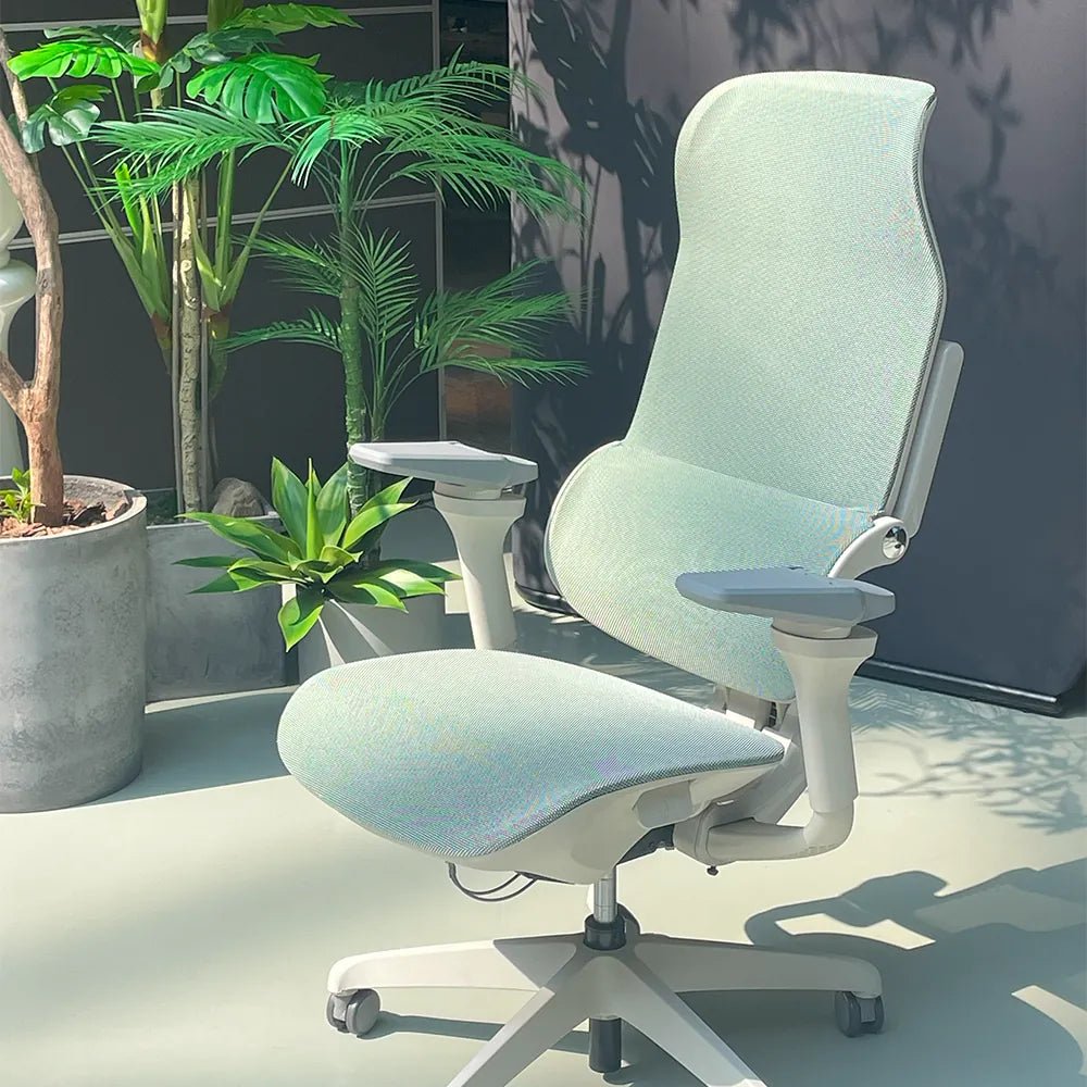 MORPH Edition丨Advanced Lumbar Support Ergonomic Chair with Sustainable Mesh丨Delivered in 8 weeks - Sunaofe