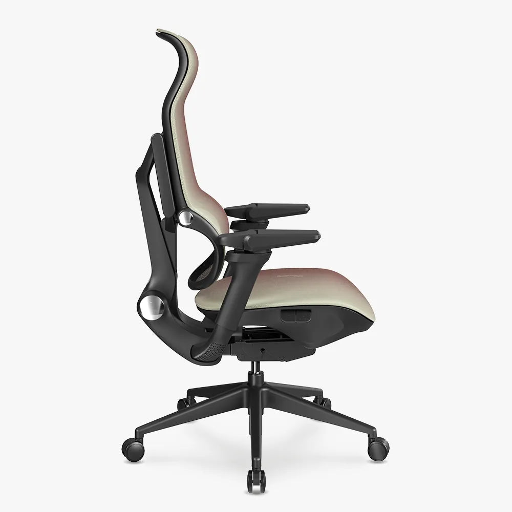 MORPH Edition丨Advanced Lumbar Support Ergonomic Chair with Sustainable Mesh丨Delivered in 8 weeks - Sunaofe