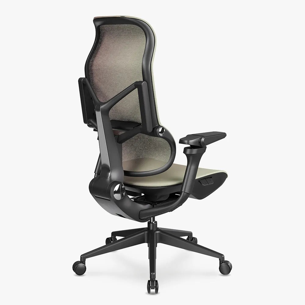 MORPH Edition丨Advanced Lumbar Support Ergonomic Chair with Sustainable Mesh丨Delivered in 8 weeks - Sunaofe