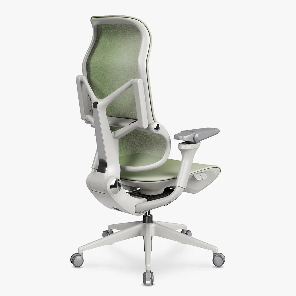 MORPH Edition丨Advanced Lumbar Support Ergonomic Chair with Sustainable Mesh丨Delivered in 8 weeks - Sunaofe