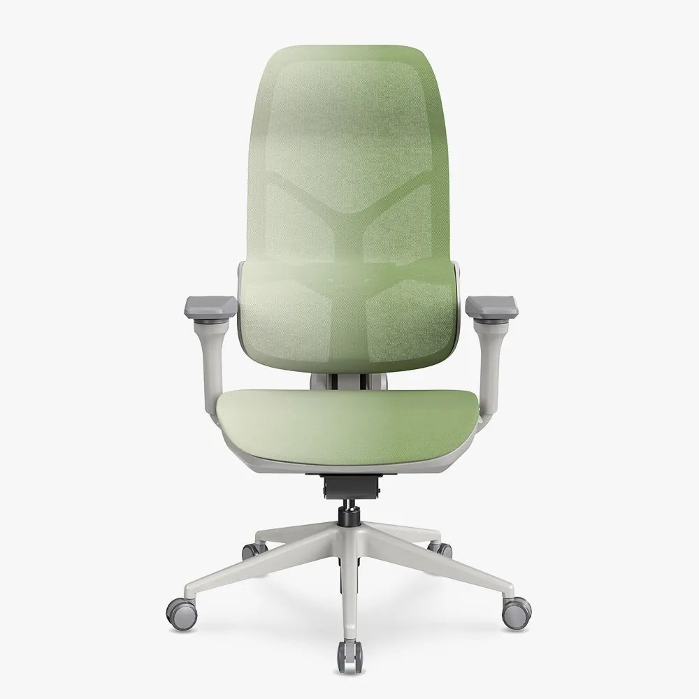 MORPH Edition丨Advanced Lumbar Support Ergonomic Chair with Sustainable Mesh丨Delivered in 8 weeks - Sunaofe