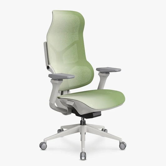 MORPH Edition丨Advanced Lumbar Support Ergonomic Chair with Sustainable Mesh丨Delivered in 8 weeks - Sunaofe